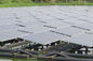 systèmes d'alimentation solaire résidentiels d'étang à poissons mono du panneau solaire 320W 3,2 millimètres de verre trempé épais